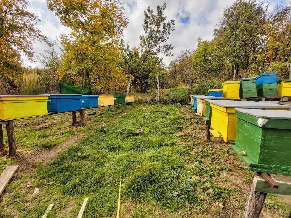 Pensiunea Agroturistica Piscul Soarelui Câmpulung Exterior photo