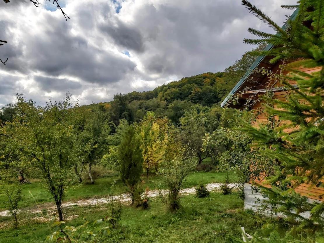 Pensiunea Agroturistica Piscul Soarelui Câmpulung Exterior photo