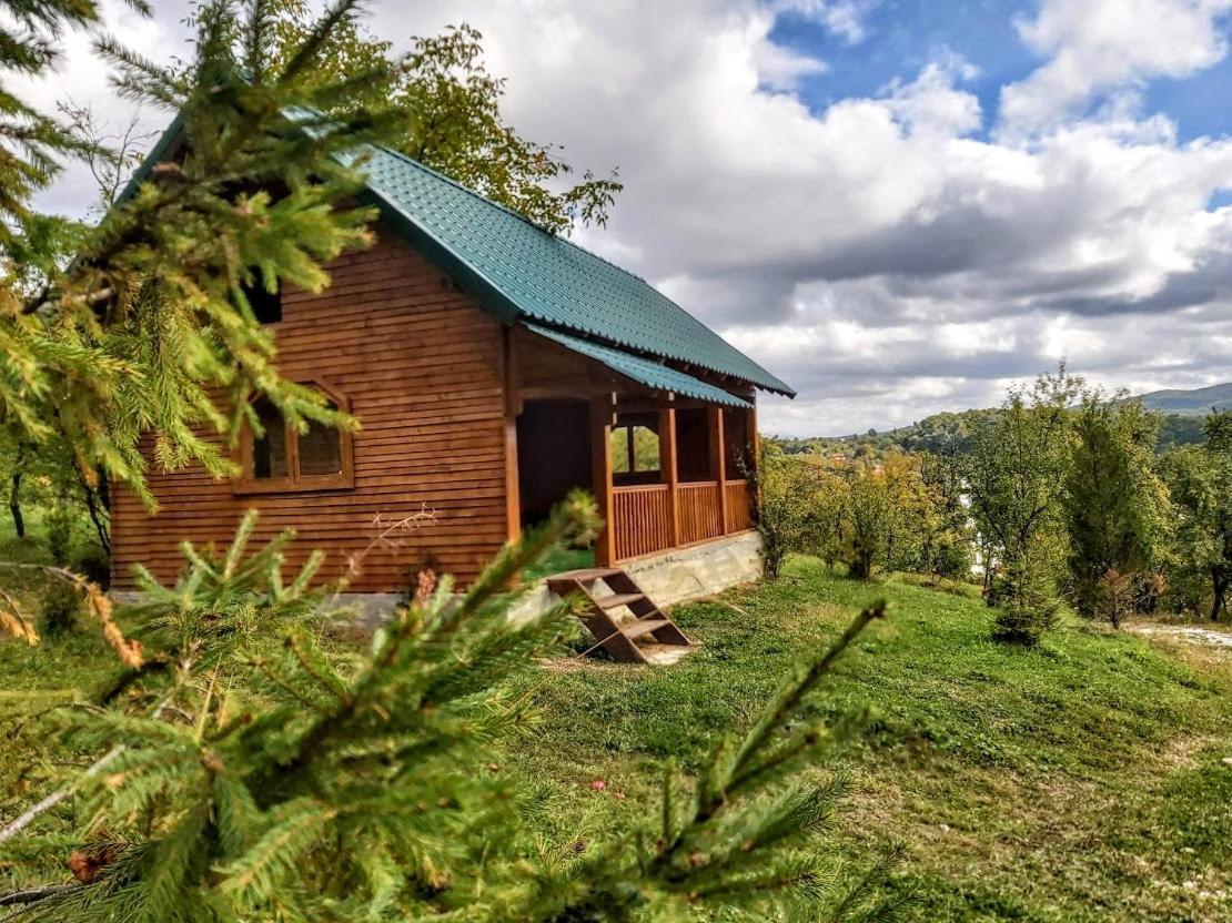 Pensiunea Agroturistica Piscul Soarelui Câmpulung Exterior photo