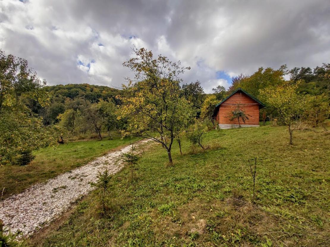Pensiunea Agroturistica Piscul Soarelui Câmpulung Exterior photo