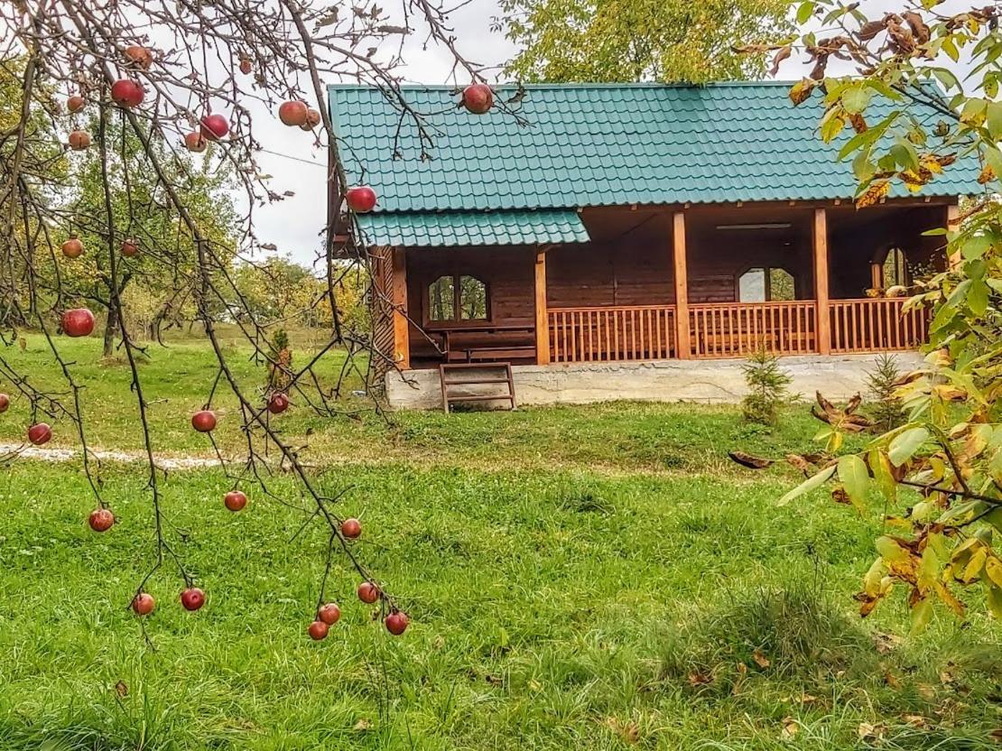 Pensiunea Agroturistica Piscul Soarelui Câmpulung Exterior photo