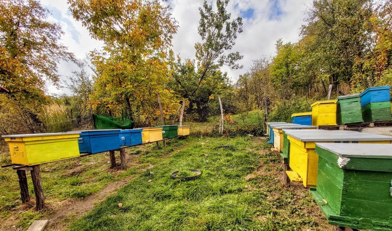 Pensiunea Agroturistica Piscul Soarelui Câmpulung Exterior photo