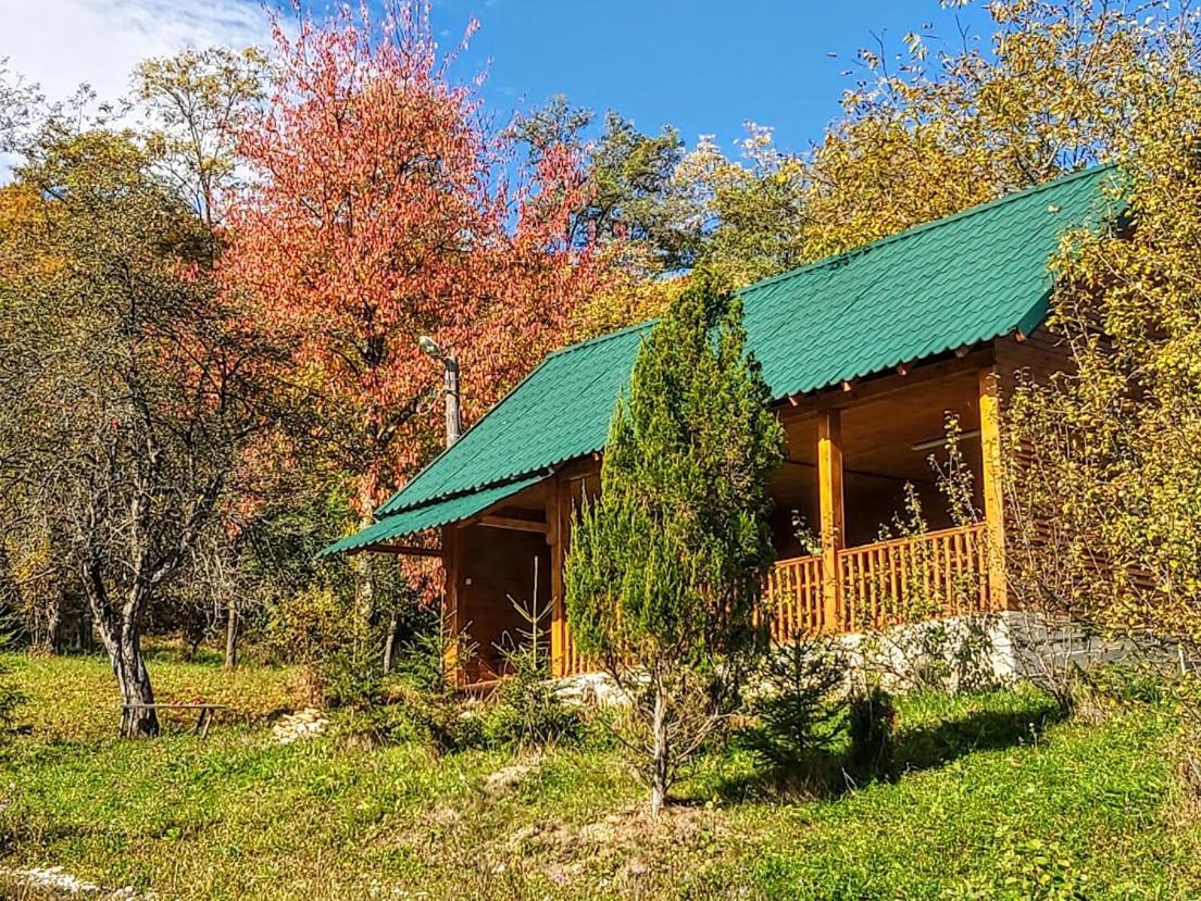 Pensiunea Agroturistica Piscul Soarelui Câmpulung Exterior photo