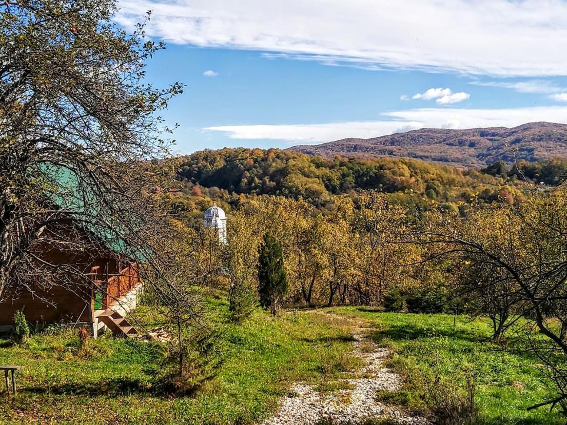 Pensiunea Agroturistica Piscul Soarelui Câmpulung Exterior photo