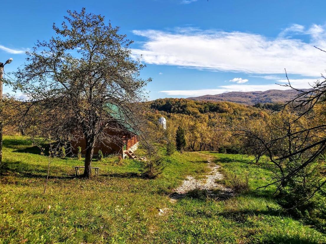 Pensiunea Agroturistica Piscul Soarelui Câmpulung Exterior photo